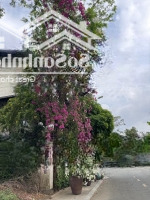 Bán 1 Lô Đất Dự Án Phú Nhuận 7Mx18M Giá 125 Triệu/M2 Sổ Đỏ Chính Chủ