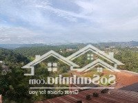 Cần Bán 1351M2 Đất Sổ Riêng Xd View Đồi Thông Tuyệt Đẹp Ngay Đầu Tp Đà Lạt, Giá Cực Tốt Chỉ 29 Triệu/M2