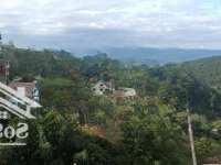 Cần Bán 1351M2 Đất Sổ Riêng Xd View Đồi Thông Tuyệt Đẹp Ngay Đầu Tp Đà Lạt, Giá Cực Tốt Chỉ 29 Triệu/M2