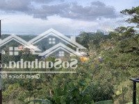 Cần Bán 1351M2 Đất Sổ Riêng Xd View Đồi Thông Tuyệt Đẹp Ngay Đầu Tp Đà Lạt, Giá Cực Tốt Chỉ 29 Triệu/M2