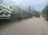Chính Chủ 861M2 Đông Tảo Gần Sông Hồng Diamond, Chợ, Vđ 4, Đường 379, 377 Giáp Văn Giang 2Xtr/M2