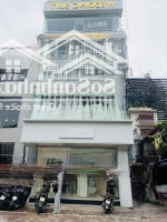 Cho Thuê Mbkd Phố Quốc Tử Giám, Diện Tích: 60M2 X 6T + Tum, Mt: 4,5M. Mọi Mô Hình