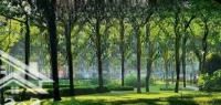 Celadon City Ưu Đãi Lớn Tt 20% Nhận Nhà Trả Chậm 3 Năm, Lãi Suất Ưu Đãi Chỉ 7%/Năm! Liên Hệ Ngay!