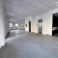 Cho Thuê 660m2 Tòa Nhà Góc 2 Mặt Tiền Bàu Cát- 7 tầng- 7x19-  Ngay Đồng Đen, Khu Bàu Cát Đôi sầm uất giá 180 triệu/tháng