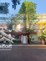 Bán Gấp Biệt Thự Cộng Hòa Tb Ngay Lotte Mart 12X20 ,240M2,3 Lầu ,Khu Compoud,Bv 24/24, Giá 187 Triệu/M2