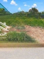 Đất Đẹp -Mặt Tiềnđường 5 Mét, 455 M2, 13 X 31 M, Shr, Kiểng Phước, Gò Công Đông, Tiền Giang