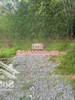 Chính Chủ Cần Bán 13400M2 Chánh Phú Hòa, Bến Cát