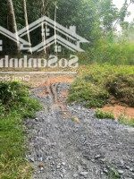 Chính Chủ Cần Bán 13400M2 Chánh Phú Hòa, Bến Cát