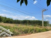 Anh Hải Chính Chủ Cần Bán Gấp Lô Đất Đẹp 646M2 Thổ Cư 100M2 Ở Phú Giáo, Bd, Lỗ 400 Triệu Để Mua Nhà Ở