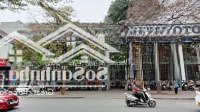 Siêu Phẩm! Cho Thuê Nhà Lô Góc Mặt Phố Đinh Lễ,Diện Tích200M2,Mặt Tiềncực Rộng, Phố Cực Đông Khách Du Lịch