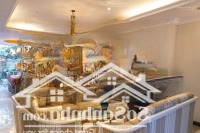 Bán Biệt Thự Vườn Đào Tây Hồdiện Tích100M2 Xây 5 Tầng,Mặt Tiền8M, Giá Bán 39 Tỷ