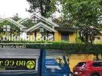 Bán Nhà Lô Góc Nguyễn Gia Thiều, Hoàn Kiếm: Diện Tích 300 M2, Mt20M. Tuyến Phố Đẳng Cấp Nhất Quận