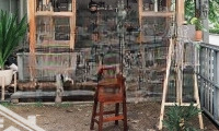 Cho Thuê Nhà Mặt Phố Trích Sài. Diện Tích 80M2X4T. Thông Sàn View Hồ Tây Thoáng Mát. Mọi Mô Hình.