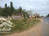 Gấp! 200M2 Thổ Cư O Diện Tích: Mặt Tiền Trần Hưng Đạo Ngay Tthc Hàm Thuận Nam Shr 5 Tỷ