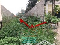 Gấp! 200M2 Thổ Cư O Diện Tích: Mặt Tiền Trần Hưng Đạo Ngay Tthc Hàm Thuận Nam Shr 5 Tỷ