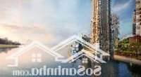 Bán Căn Penthouse Đảo Kim Cương View Vô Cùng Đẹp Với Giá Cực Kỳ Hấp Dẫn