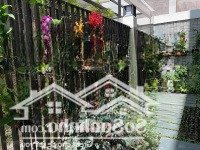 Bán Gấp Nhàhẽm Xe Hơitrần Bình Trọng P3 Q5 (4.5X15M, Có Hẻm Hông, Cửa Hậu, Cách Mặt Tiền 50M) 12.5 Tỷ Tl
