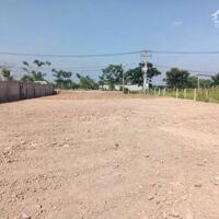 3543m2 đất mặt tiền đường nhựa hẻm Nguyễn Kim Cương, xã Tân Thạnh Đông giá 23 tỷ