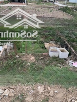 Bán Lô Đất Dịch Vụ Di Trạch Mặt Đường 3.5 Vị Trí Đẹp- Ô Tô Kinh Doanh Giá Đầu Tư
