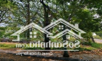 Cho Thuê Kho, Nhà Xưởng, Đất Tại Đường Số 95, P. Thạnh Mỹ Lợi, Q2, Hcm, Giá Ưu Đãi 17 Triệu, 240M2