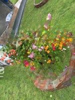 Bán Nhà Vườn 400M2 ( 100Tc ) Cách Vòng Xoay Đồng Xoài Chỉ 6Km, Mặt Tiển Đường Nhựa 13M