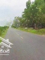 Đấu Giá Bắc Hạ Ngay Đườngdiện Tích131 Giá Đầu Tư Đẹp