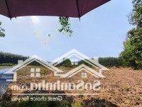 Cô 5 Cần Sang Tên 1150M2 Sát Kcn Mới Bd Ngay Chợ An Tháimặt Tiềnđường Thông Rộng 12M. Liên Hệ: 325030897(Vy)