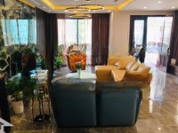 Bán Biệt Thự Song Lập 200M2 Nguyệt Quế Khu Hồ Điều Hòa 12Ha Vinhomes The Harmony, Ht Có Thang Máy