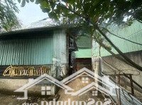 Bán Xưởng Giá Rẻ 534M2 Thổ Cưmặt Tiềnvõ Hữu Lợi