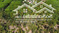 View Biên Phổ Quang Mỹ Á Đức Phổ. Giá Rẻ 420Mv Có 100 Thổ Cư Hơn 900