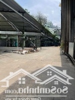Cho Thuê Xưởng 2000M2 Giá Chỉ 60 Triệu/Th, Bao Gồm Tất Cả Các Hệ Thống Máy Móc Nghành Gỗ. Tam Phước