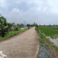 Bán Rẻ Nhà Vườn 995M2 Thổ Cư Đường Xe Tải Xã Tân Nhựt