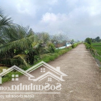 Bán Rẻ Nhà Vườn 995M2 Thổ Cư Đường Xe Tải Xã Tân Nhựt