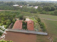 Bán Đất Tại Đường Suối Nghệ - Láng Lớn, 1,8 Tỷ, 1000M2 Bao Đẹp, Nhiều Tiện Ích