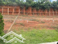 Bán Đất Nền Đẹp Tại Đường 20, Xã Lộc An, Bảo Lâm, Lâm Đồng, 950 Triệu, 132.3 M2