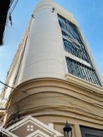 Toà Nhà Phố Đi Bộ Bùi Viện Nhỉnh 7 Tỷ Cho Thuê 45 Triệu/Tháng