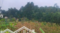 Bán Đất Hòa Bình Nghỉ Dưỡng Siêu Đỉnh, Gần Cao Tốc Hà Nội Hòa Bình Sơn La, Gần Hồ Hòa Bình