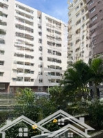 Sổ Hồng Trao Tay- Bán Căn Hộ Chung Cư Khang Gia P14 Gò Vấp Sau Lưng Siêu Thị Emart Mới