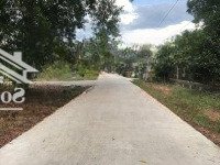 1100M2 Vườn Bưởi Sát Suối, Đường Betong 8M, Trên Vườn Đã Sẵn Hơn 20 Gốc Bưởi Đã Được 4 Năm Tuổi