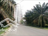 Bán Gấp Nhà Riêng Gần 13E Phong Phú, Giá Cực Chất 1 Tỷ, 20M2
