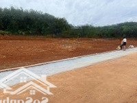 Cần Bán 2 Lô Đất Sào Mặt Tiền Bao La Phân Nền Hợp Lý