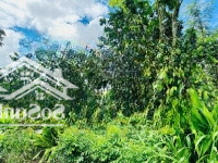 Cậu Cần Tiền Gấp Sang Miếng Vườn 2200M2 Thổ Cư 100M2, Ngay Chợ An Linh