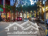 Siêu Hiếm Mặt Phố Nguyễn Bỉnh Khiêm, Hai Bà Trưng 157M2 Mặt Tiền 7.1M Vị Trí Đẹp Nhất, Giá Bán 97 Tỷ