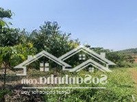 Bán Lô Đất Giá Tốt Hẻm 322 Hàm Nghi, Tt. Lộc Thắng, Bảo Lộc, Bảo Lâm.