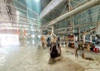 Cho Thuê Xưởng 2000M2, Tất Cả Máy Sản Xuất Gỗ Đang Hoạt Động, Phường Tam Phước, Biên Hòa, Đồng Nai