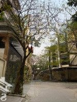 Bán Nhà Khu Đô Thị Mỹ Đình 2 - Nam Từ Liêm -Diện Tích125M2 - 6 Tầng -Mặt Tiền7M - Giá Bán 40 Tỷ Biệt Thự Liền Kề