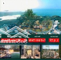 Lời Luôn 100 Triệu Khi Mua Căn Hộ Vịnh Trung Tâm Cát Bà Kinh Doanh Sầm Uất Quảng Trường Phố Đi Bộ