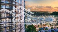 Lời Luôn 100 Triệu Khi Mua Căn Hộ Vịnh Trung Tâm Cát Bà Kinh Doanh Sầm Uất Quảng Trường Phố Đi Bộ
