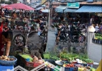 Sở Hữu Ngay Lô Đất Thổ Cư Gia Tân Thống Nhất Chỉ Từ 595 Triệu Cơ Hội Vàng Cho Nhà Đầu Tư & An Cư!
