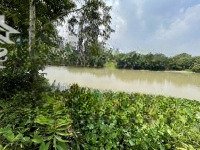Bán Vườn Cà Na, Bên Sông Sg Tại Xã An Phú, Củ Chi, Tphcm, 5.9 Tỷ, 2860 M2 - Có 90M2 Thổ Cư